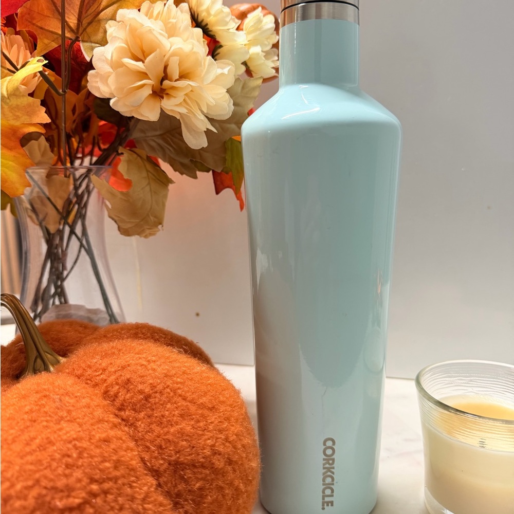 Corkcicle Sky Blue Bottle